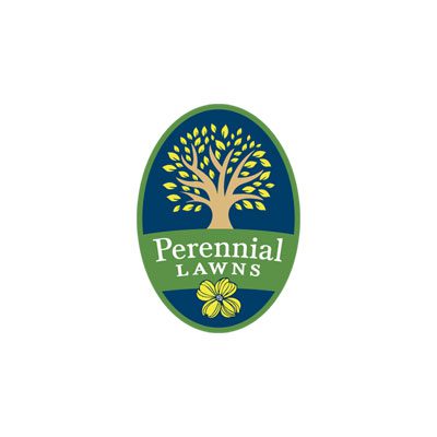 Perennial Lawns