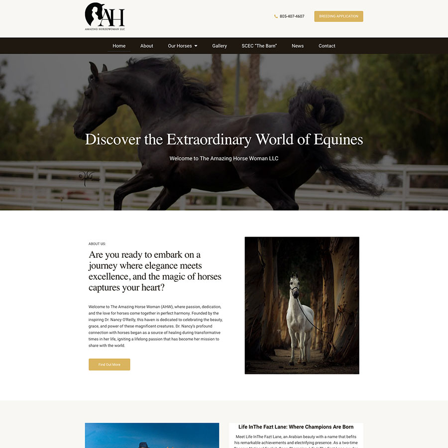 Amazing Horse Woman, LLC